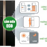 Tủ lạnh Hitachi 605 lít R-S700PGV2 GS