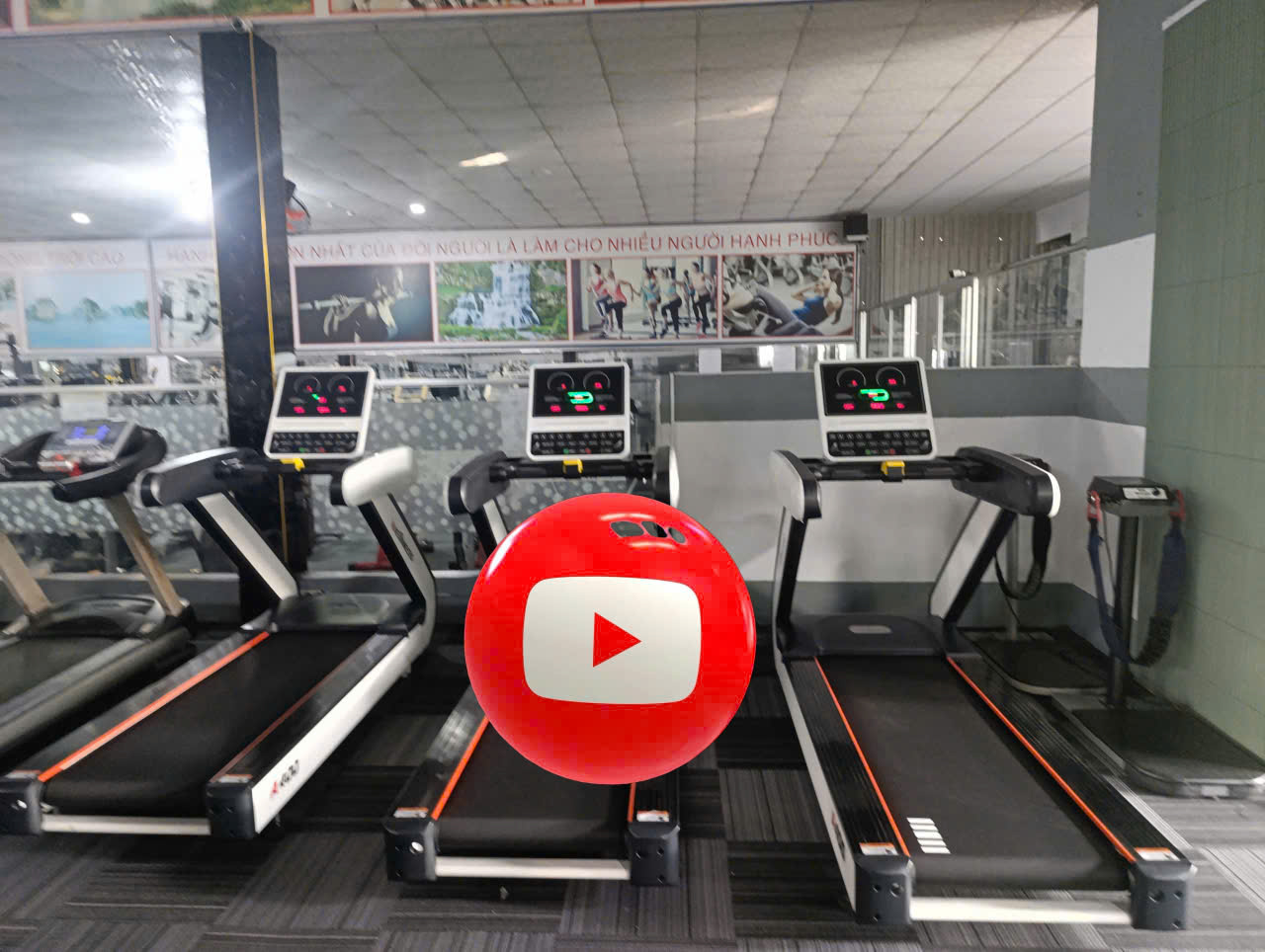 thiết bị gym giá rẻ 3